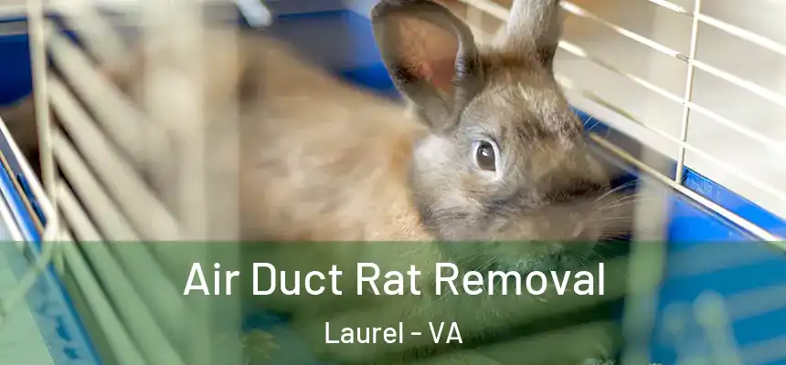  Air Duct Rat Removal Laurel - VA