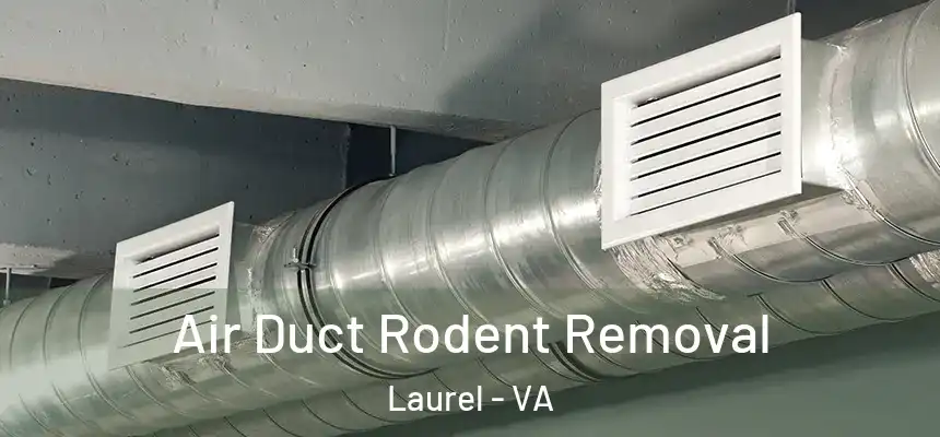  Air Duct Rodent Removal Laurel - VA