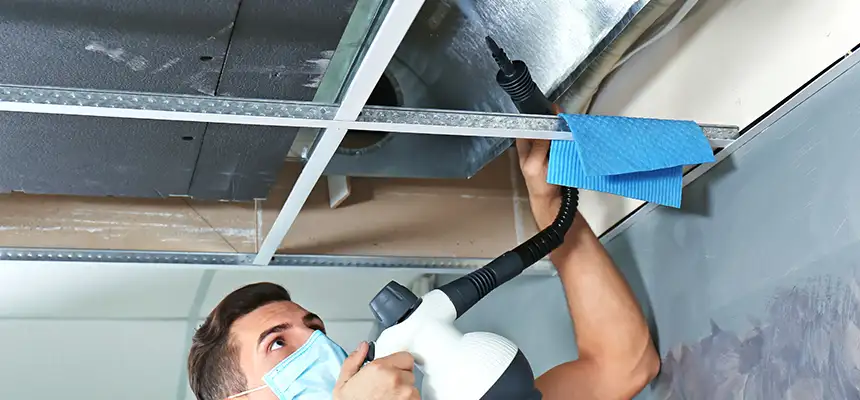 Our Air Duct Rodent Removal Services in Laurel, VA