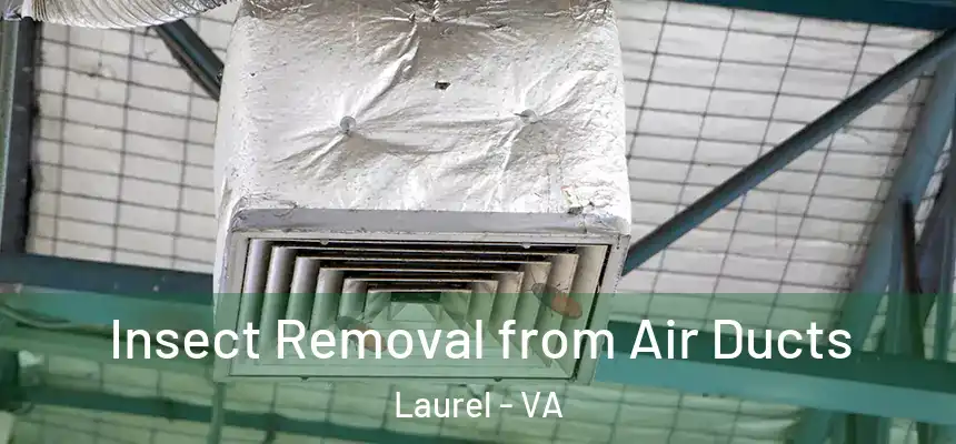 Insect Removal from Air Ducts Laurel - VA