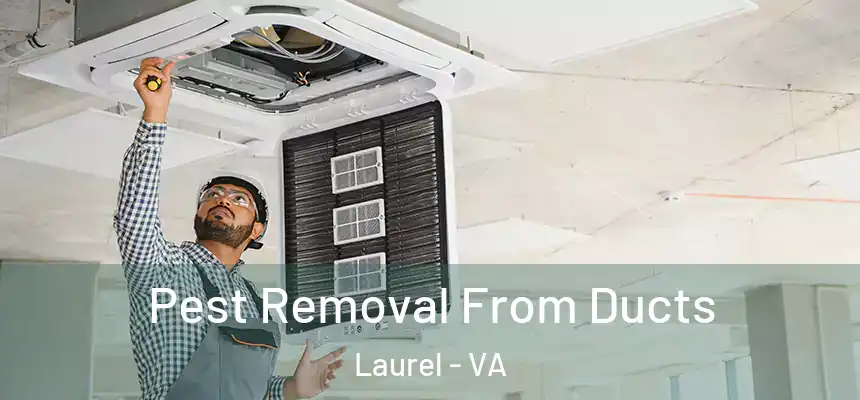 Pest Removal From Ducts Laurel - VA