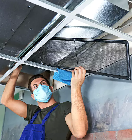 About Air Duct Bacteria Removal in Laurel