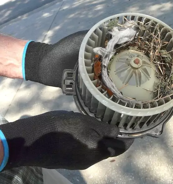 About Air Duct Rat Removal in Laurel, VA