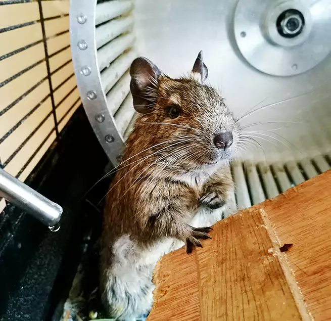 Why Homeowners & Businesses Trust Us Laurel, VA