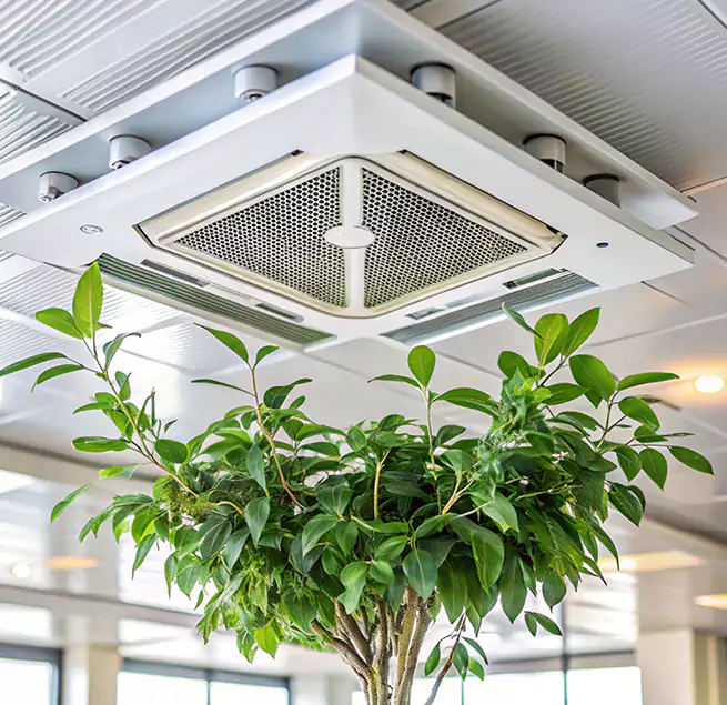 Why Homeowners & Businesses Trust Us in Laurel, VA